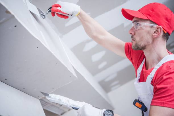 Reliable Pearl Beach, MI Dry wall and painting Solutions